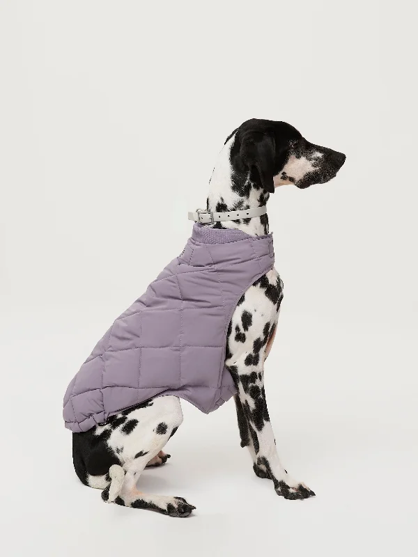 The Skyline Dog Jacket in Slate Violet Trendy Women's Oversized
